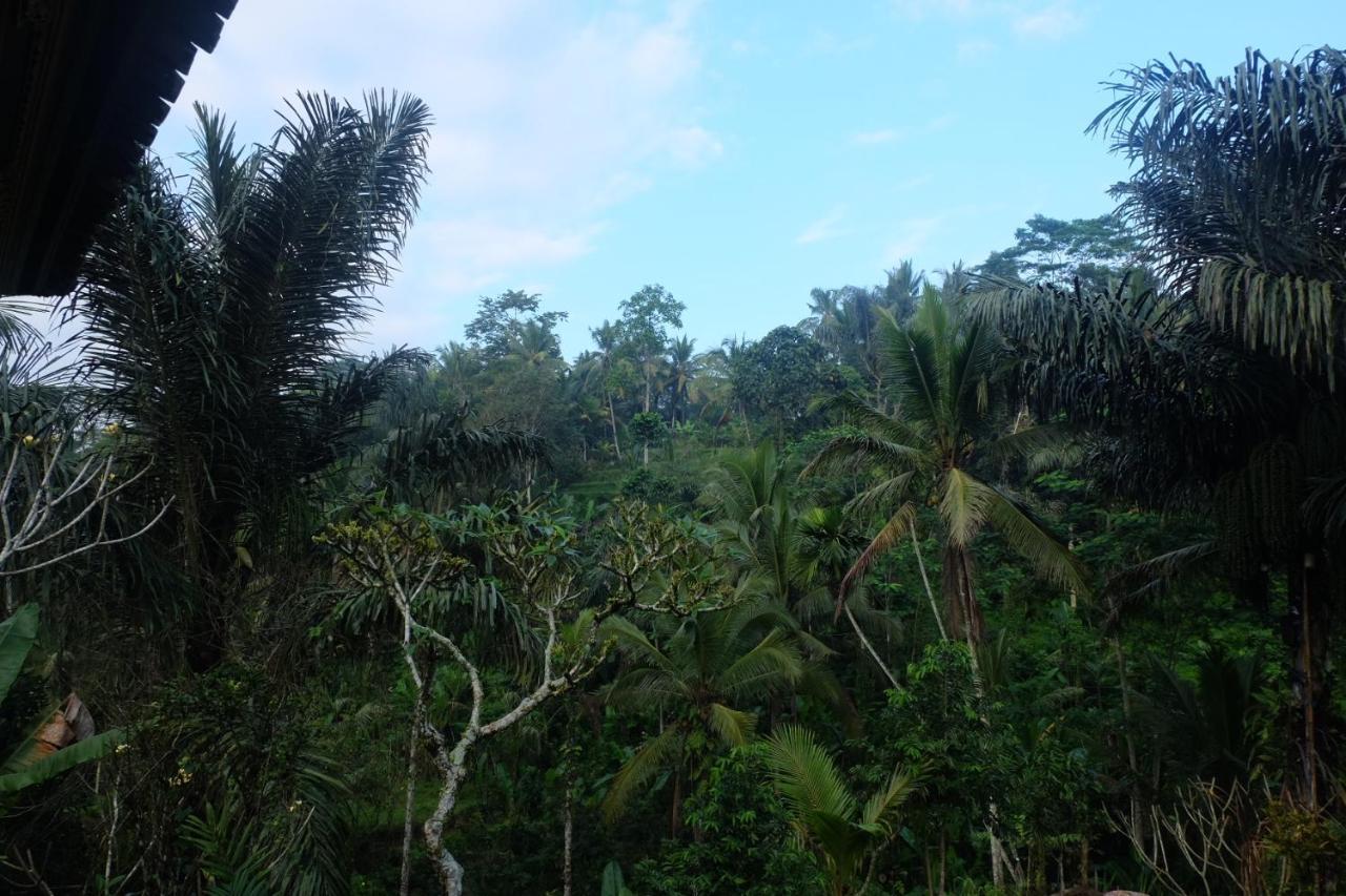 فيلا Gunung Kawi House تيغالالانغْ المظهر الخارجي الصورة