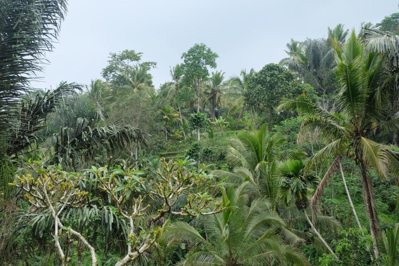 فيلا Gunung Kawi House تيغالالانغْ المظهر الخارجي الصورة