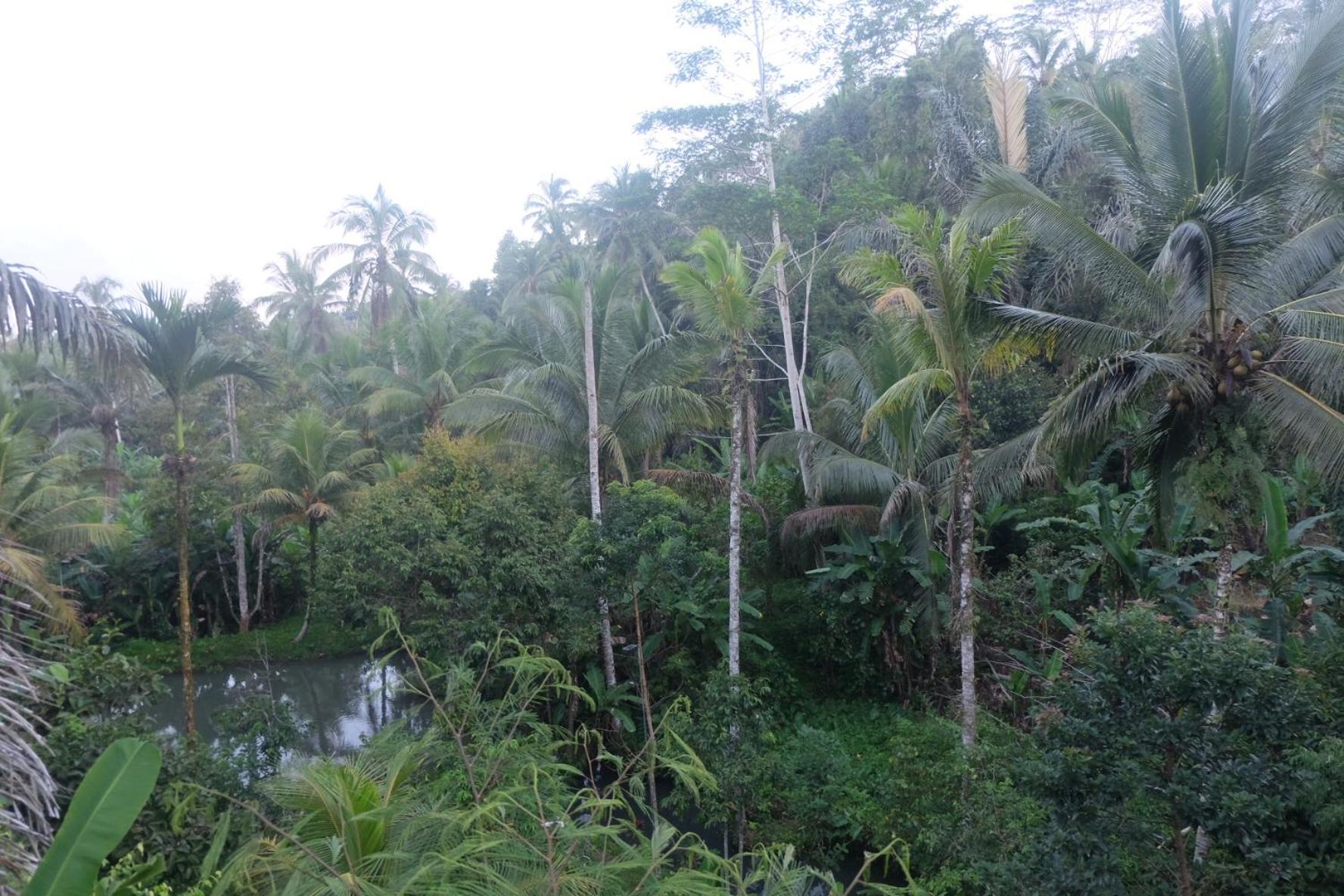 فيلا Gunung Kawi House تيغالالانغْ المظهر الخارجي الصورة