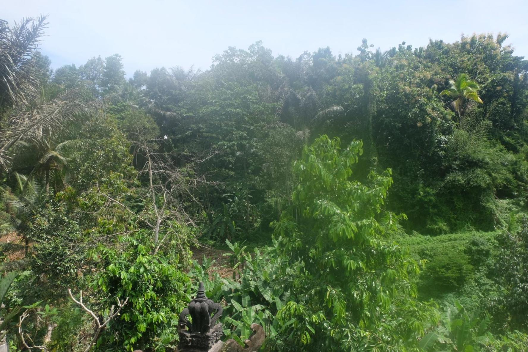 فيلا Gunung Kawi House تيغالالانغْ المظهر الخارجي الصورة