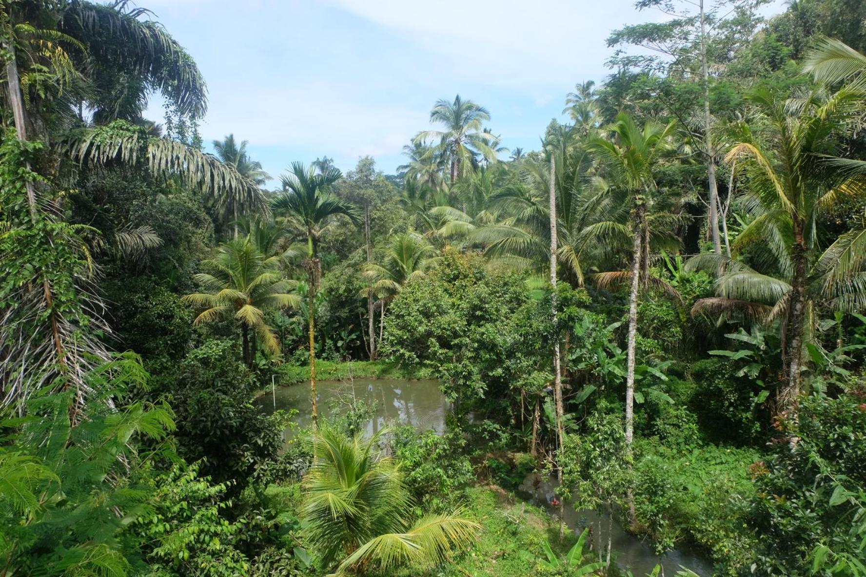 فيلا Gunung Kawi House تيغالالانغْ المظهر الخارجي الصورة