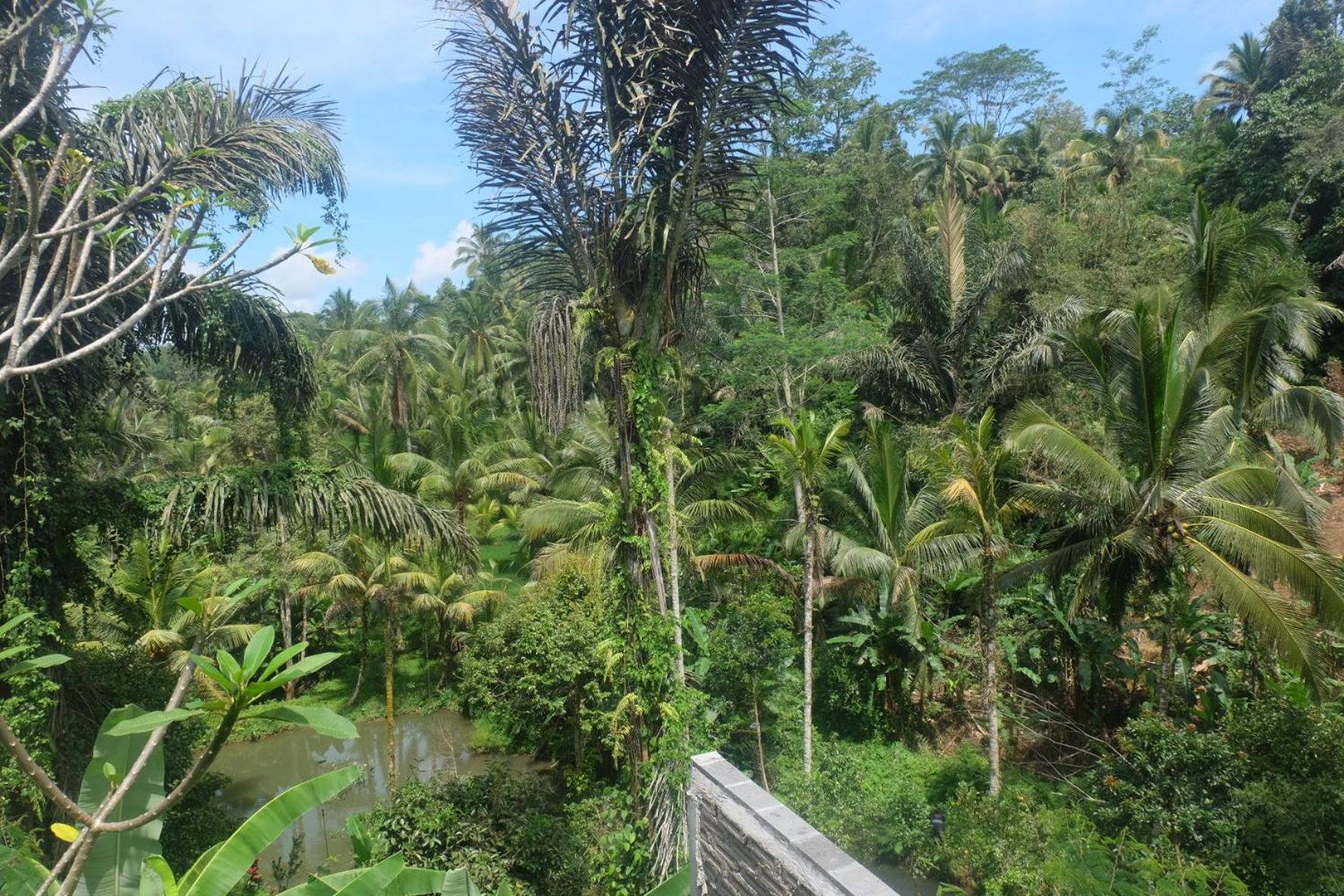 فيلا Gunung Kawi House تيغالالانغْ المظهر الخارجي الصورة