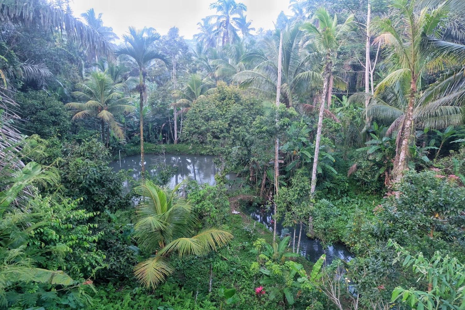 فيلا Gunung Kawi House تيغالالانغْ المظهر الخارجي الصورة